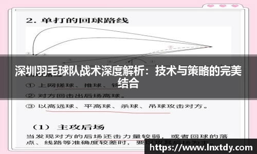 深圳羽毛球队战术深度解析：技术与策略的完美结合