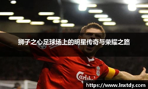 狮子之心足球场上的明星传奇与荣耀之路